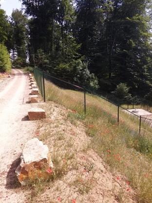 Anpassung der Quelle Boussert in Rollingen