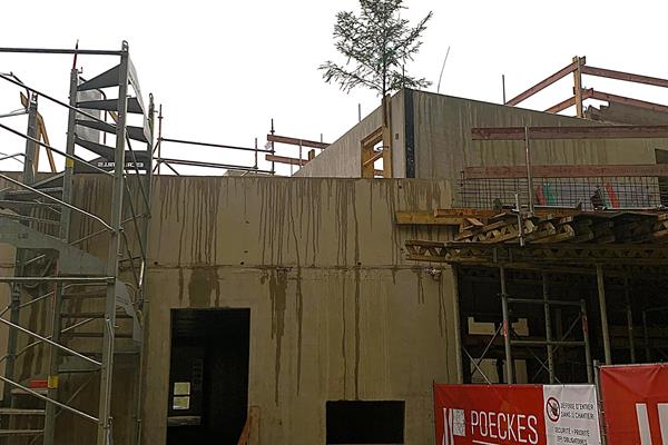 Tierasyl in Dudelange - Projekte