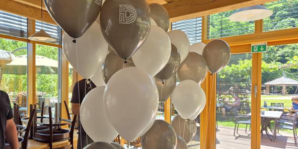 25 Jahre Daedalus Engineering